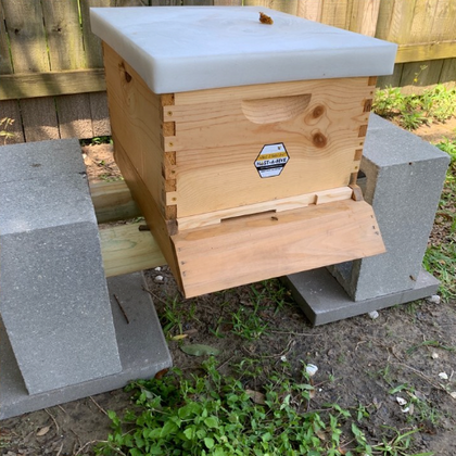 Hive Reservation Deposit